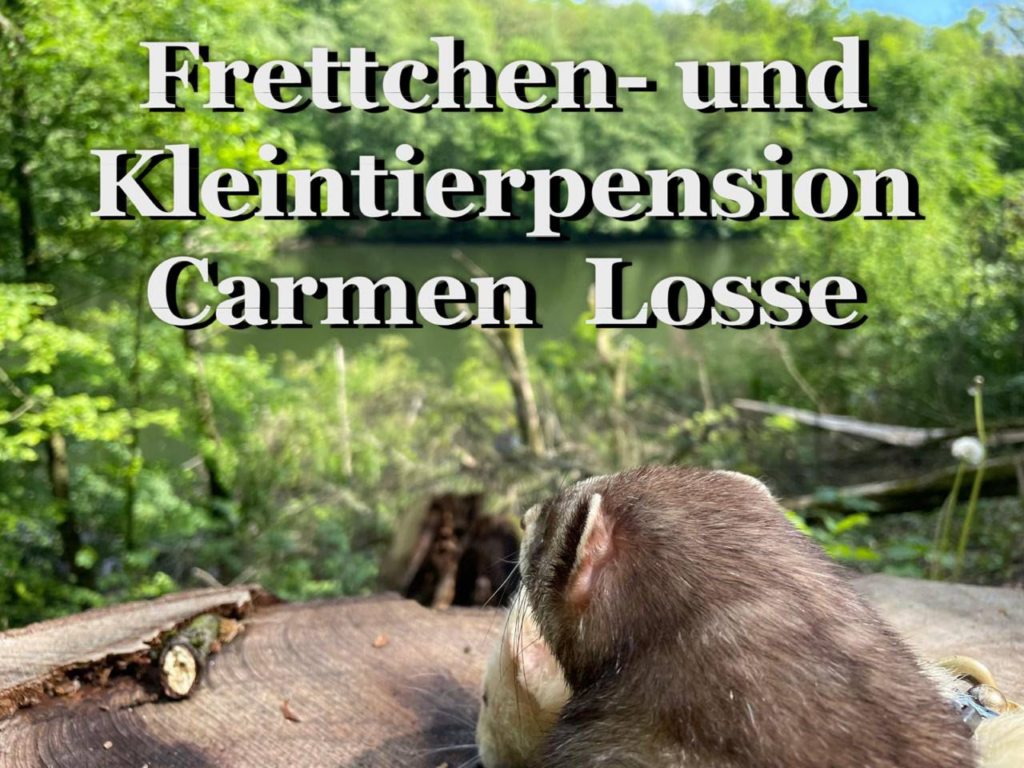 Kleintier- und Frettchenpension Carmen Losse
